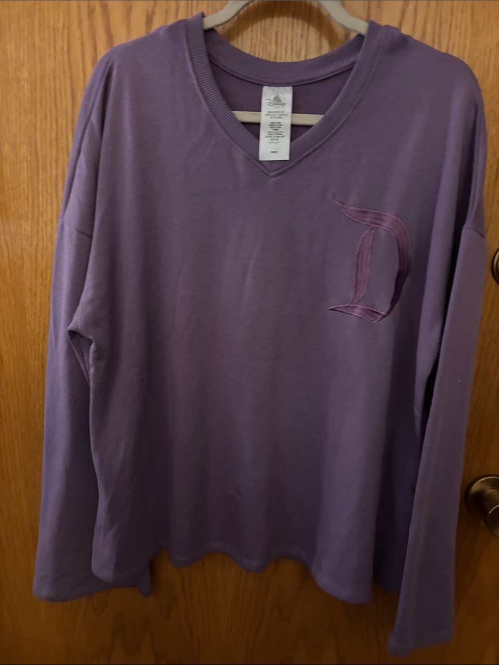 Women Purple Long-Sleeve V-Neck Top